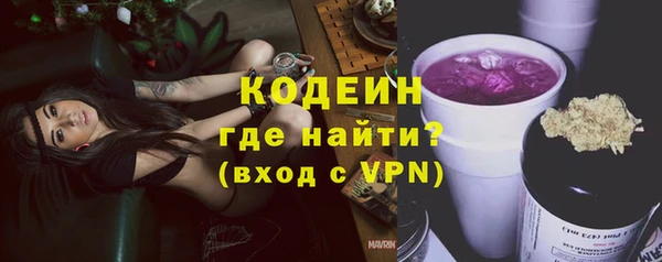 дживик Абаза