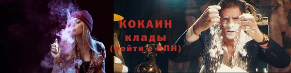 дживик Абаза