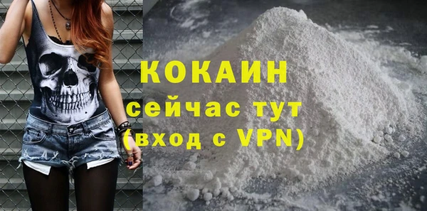дживик Абаза