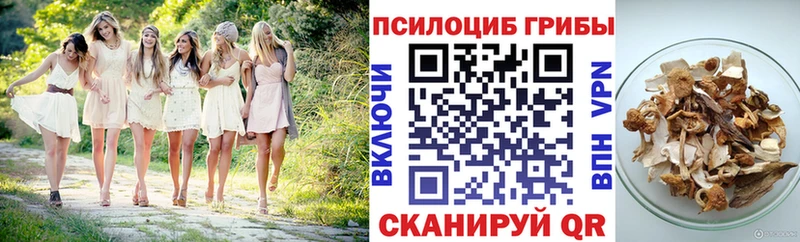 Галлюциногенные грибы Psilocybe  Энгельс 