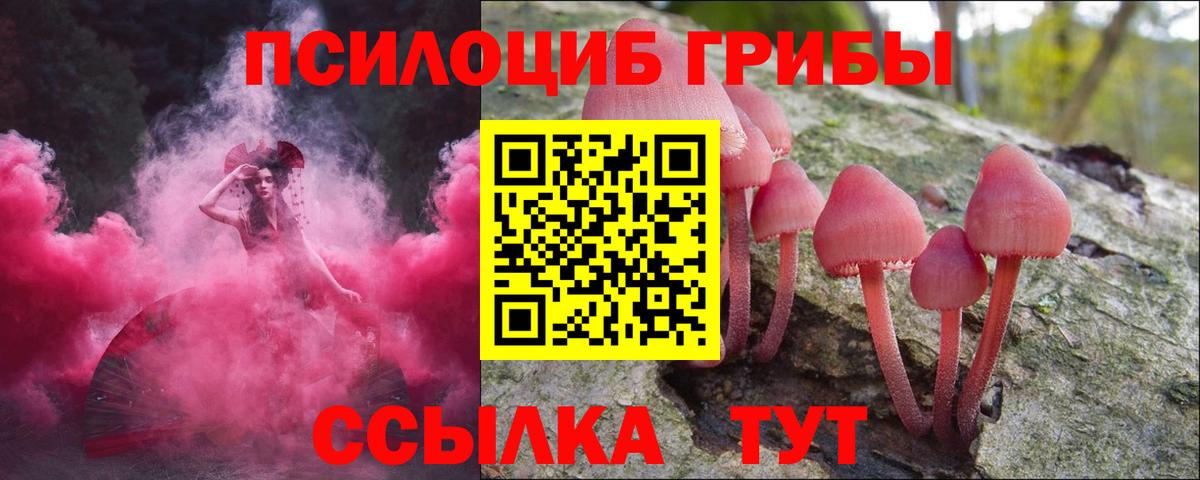 Псилоцибиновые грибы Psilocybine cubensis  Вход с VPN  Энгельс 